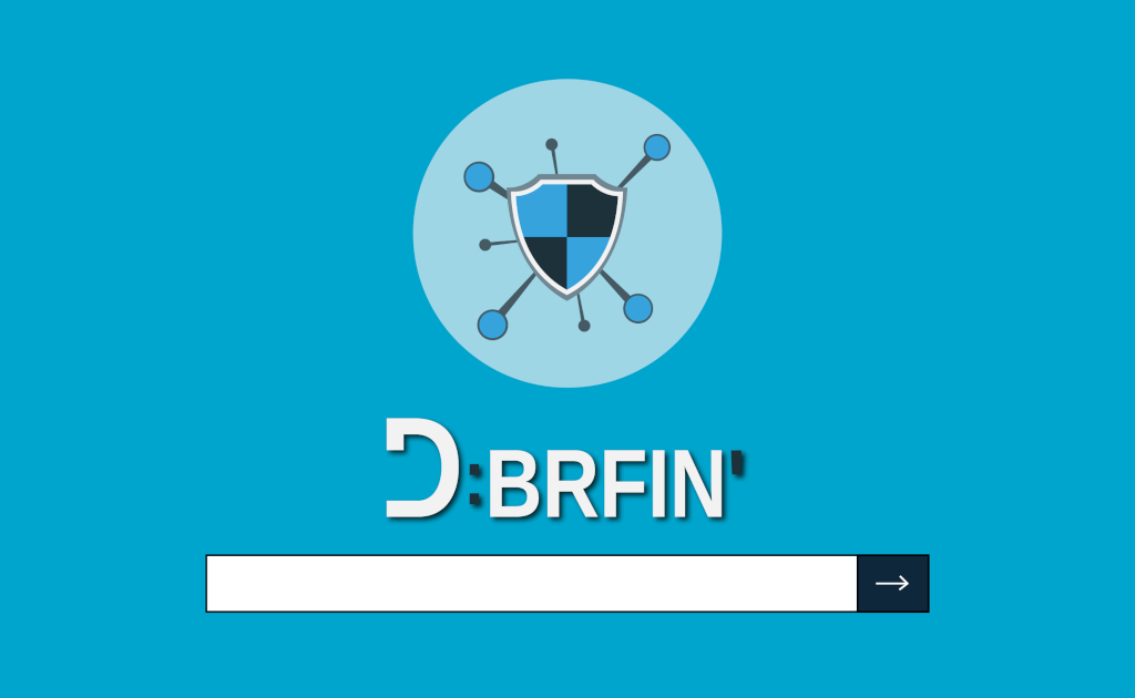 Serious Online Game D:BRFIN'